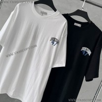 ディオール 偽物 TEARS Tシャツ 2色 deg22512