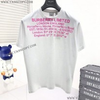 バーバリー スーパーコピー オーバーサイズ ロゴTシャツ Baf83819